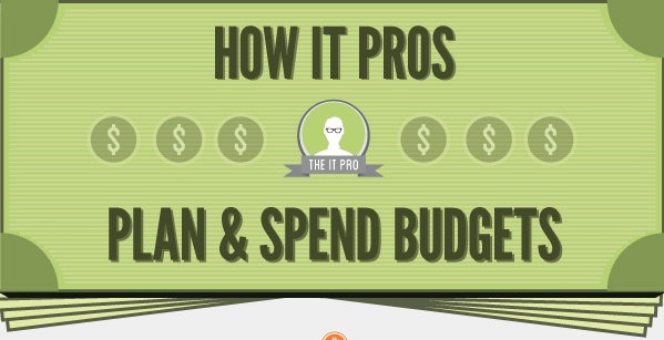 Budget-Planning-Infographic-worldwide_small